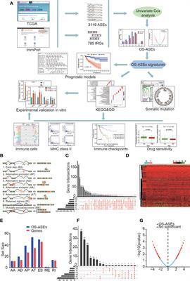 Identification and Validation of Novel Immune-Related Alternative Splicing Signatures as a Prognostic Model for Colon Cancer